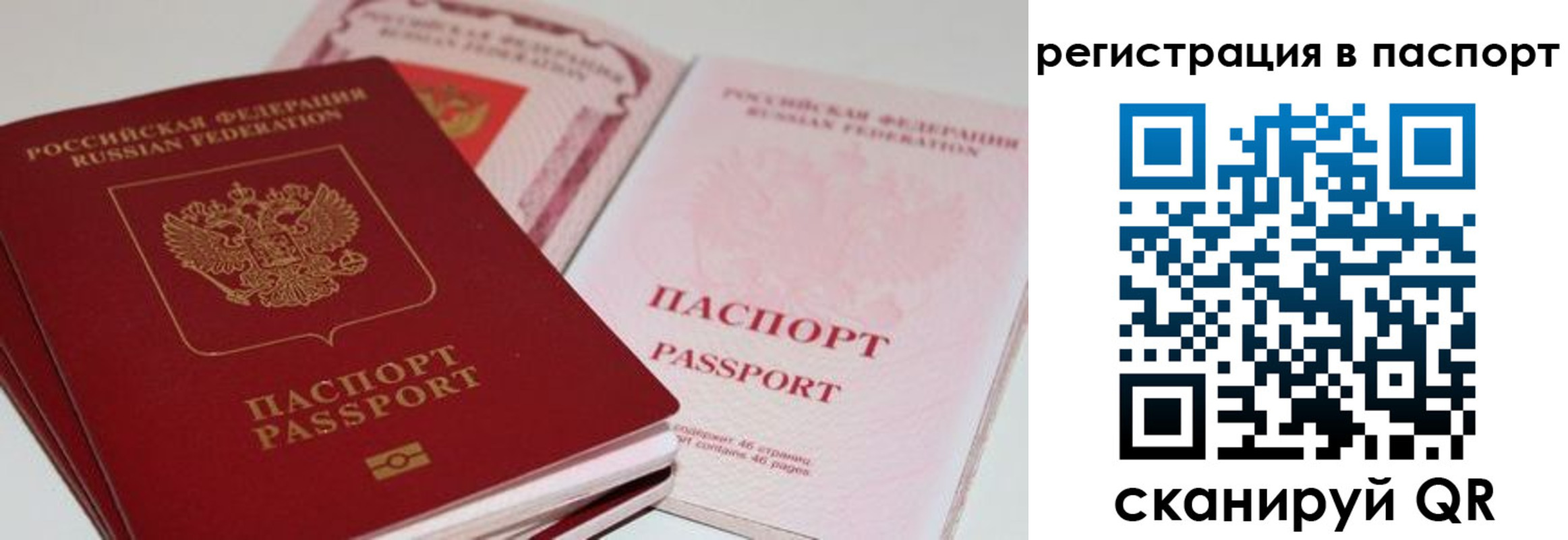 найти адрес прописки в Калужской области